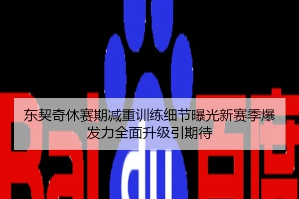 东契奇休赛期减重训练细节曝光新赛季爆发力全面升级引期待