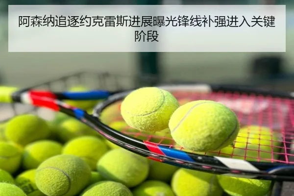 阿森纳追逐约克雷斯进展曝光锋线补强进入关键阶段
